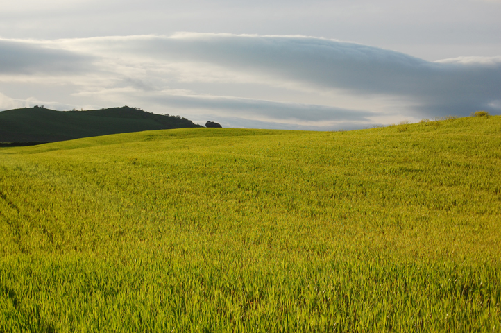 Fields in Grazalema